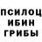 Псилоцибиновые грибы GOLDEN TEACHER Rylie Lewis