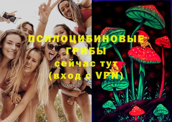 ешки Богородицк