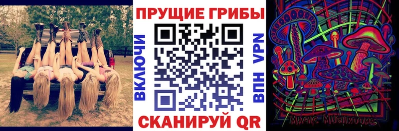 Купить закладки  Мамоново  Галлюциногенные грибы Cubensis 
